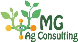MGServices-4-01.png
