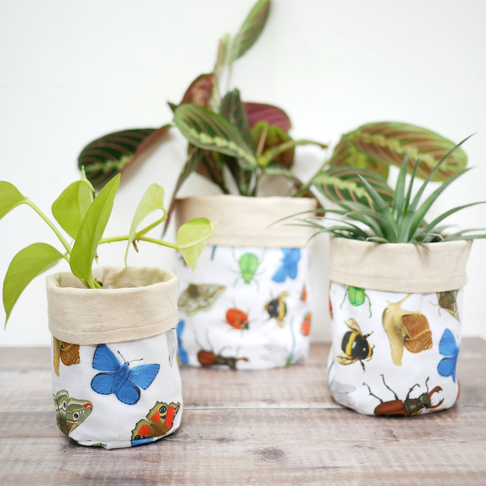 Thumbnail: Set of three handmade fabric planter with illustrations of british invertebrates