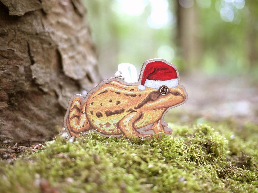 Thumbnail: A wooden Christmas tree decoration of an illustrated common frog in a santa hat. Sat on a bed of moss