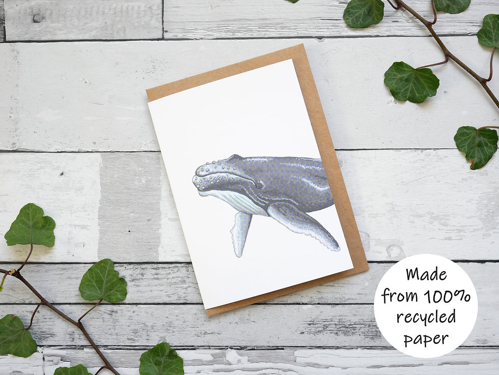 Thumbnail: Silverpasta illustrated animal greetings card made from recycled paper featuring a humpback whale with plastic free packaging