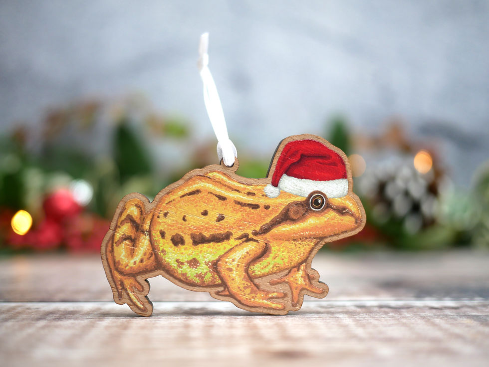 Thumbnail: Frog Tree Decoration