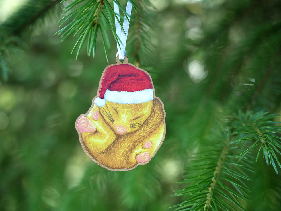 Thumbnail: A wooden Christmas tree decoration of an illustrated hazel dormouse in a santa hat. Hung on a Christmas tree