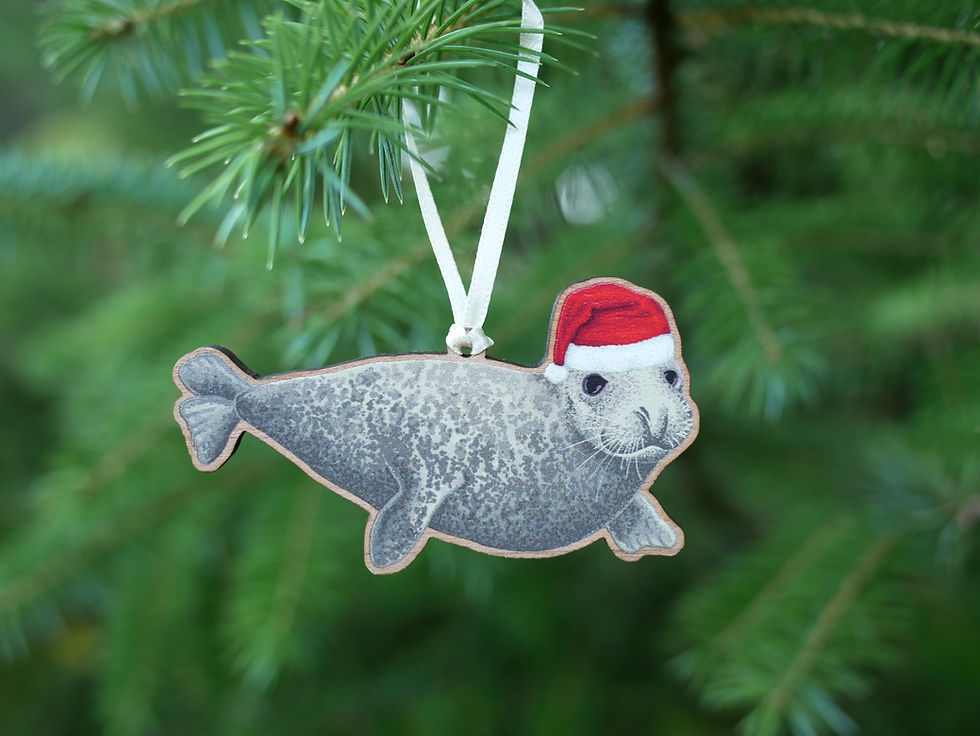 Thumbnail: A wooden Christmas tree decoration of an illustrated seal in a santa hat. Hung on a Christmas tree