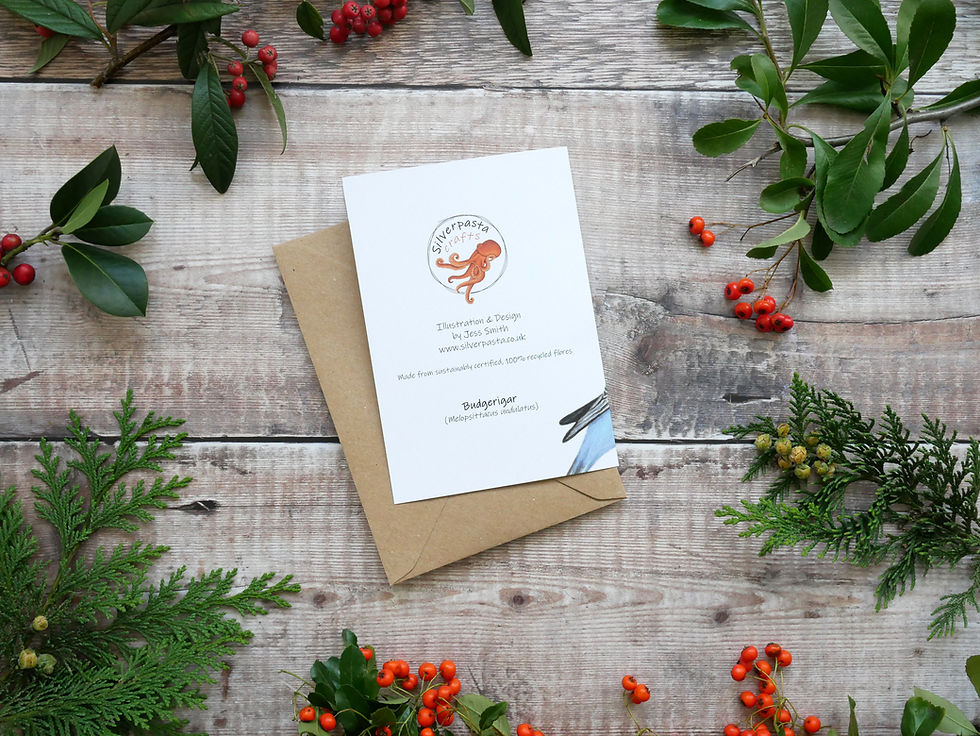 Thumbnail: Illustrated blue budgie Christmas card made from recycled paper and eco friendly plastic-free wrapper