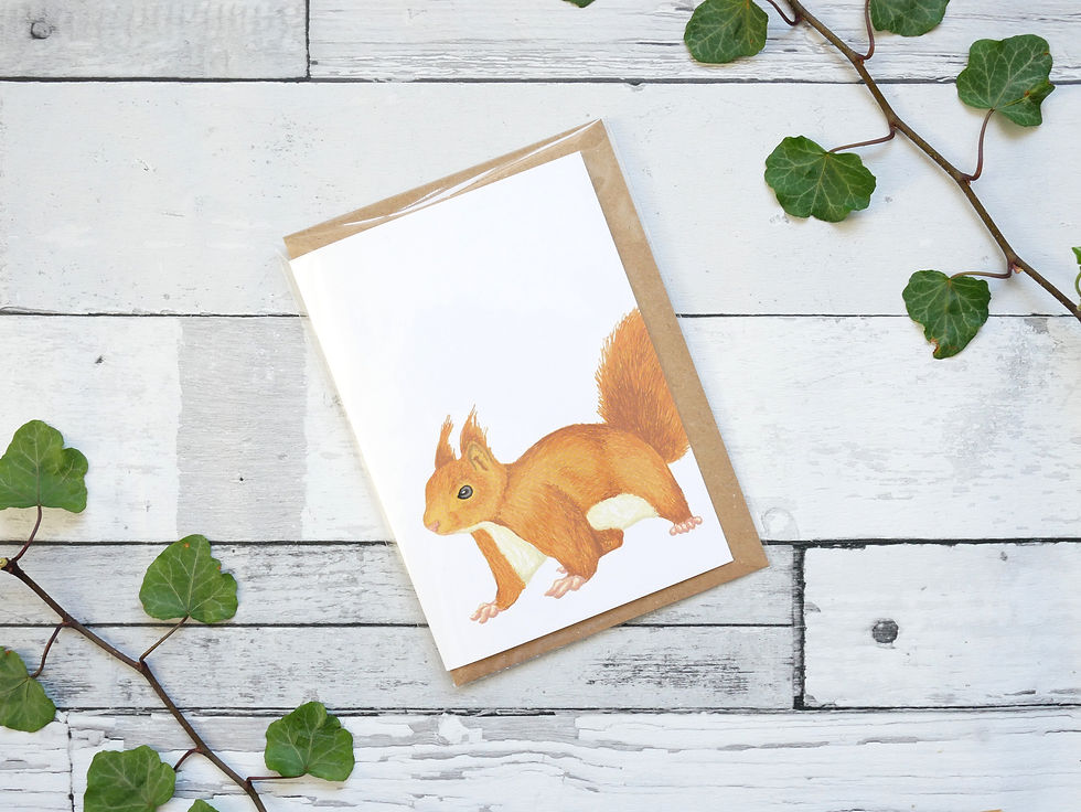 Silverpasta illustrated animal greetings card made from recycled paper featuring a red squirrel with plastic free packaging