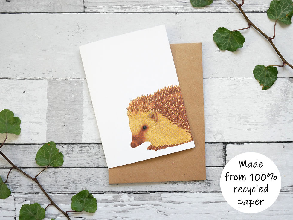 Silverpasta illustrated animal greetings card made from recycled paper featuring a hedgehog with plastic free packaging