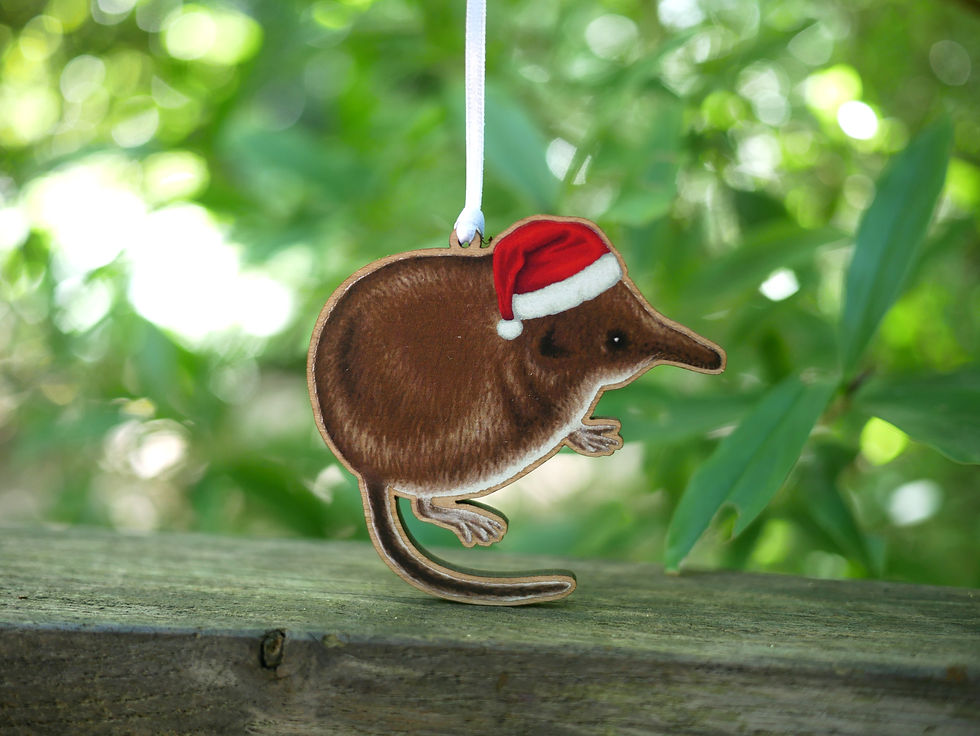 Thumbnail: A photograph of a wooden Christmas tree decoration featuring an illustration of a pygmy shrew, wearing a santa hat