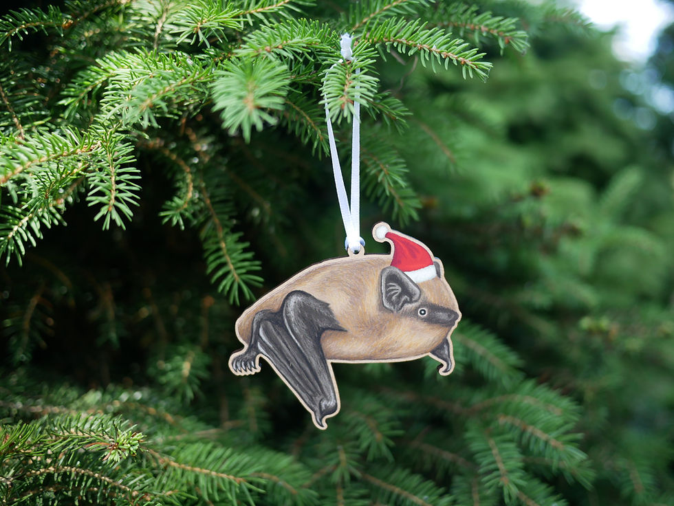 Thumbnail: A wooden Christmas tree decoration featuring an illustration of a common pipistrelle bat, wearing a santa hat
