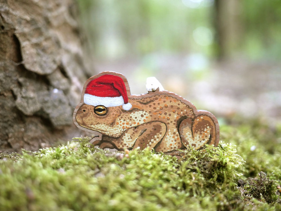 Thumbnail: A wooden Christmas tree decoration of an illustrated common toad in a santa hat.