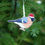 Thumbnail: Wooden Christmas tree decoration featuring an illustrated bullfinch wearing a santa hat. Ornament hanging on a Christmas tree