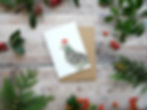 Illustrated pigeon wearing santa hat Christmas card made from recycled paper and eco friendly plastic-free wrapper