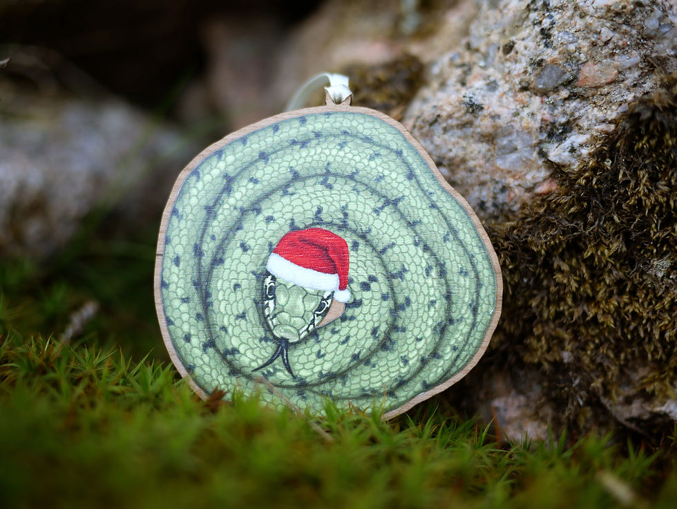 Thumbnail: A wooden Christmas tree decoration of an illustrated grass snake in a santa hat.