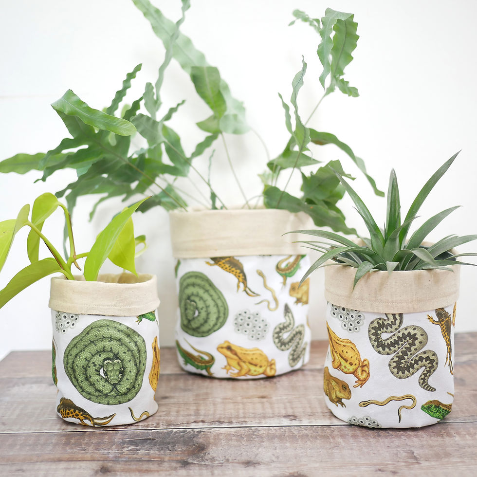 Thumbnail: Reptile & Amphibian Fabric Planter