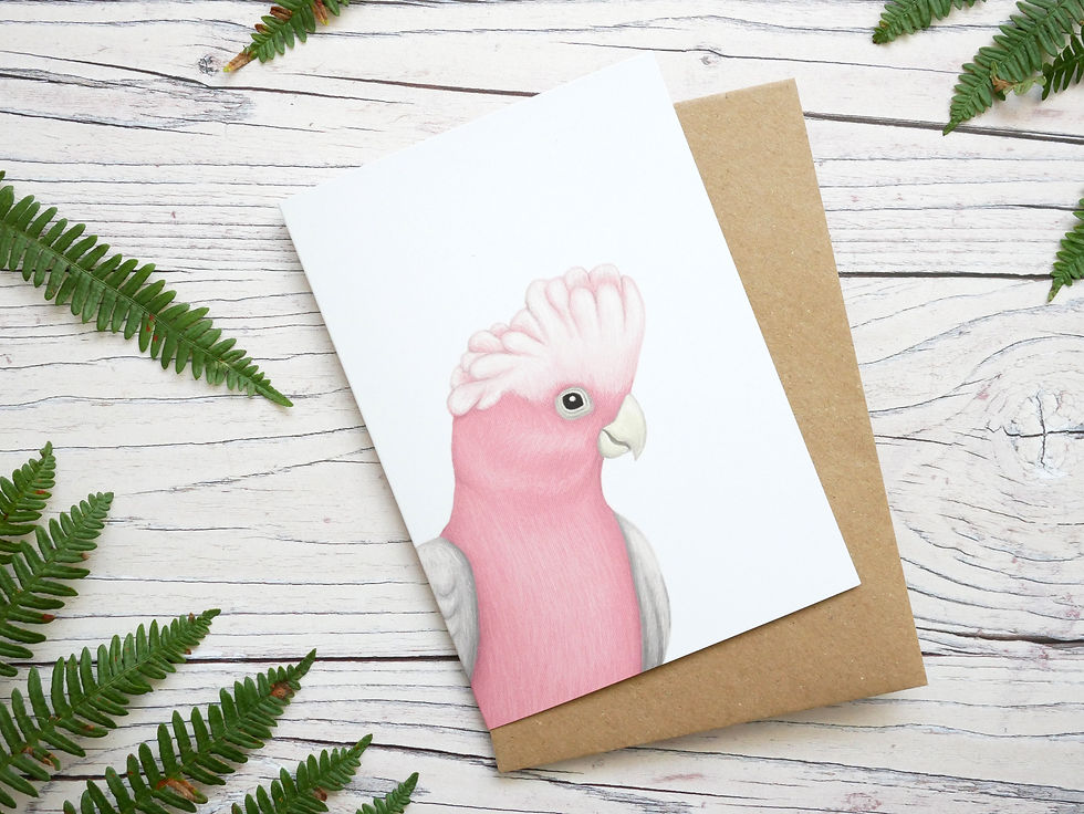 Thumbnail: Illustrated galah greetings card made from 100% recycled card and plastic-free wrapper