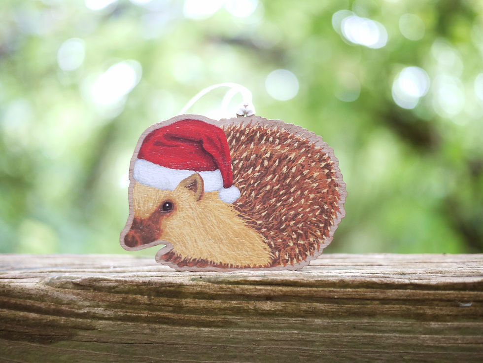 Thumbnail: A wooden Christmas tree decoration of an illustrated hedgehog in a santa hat.