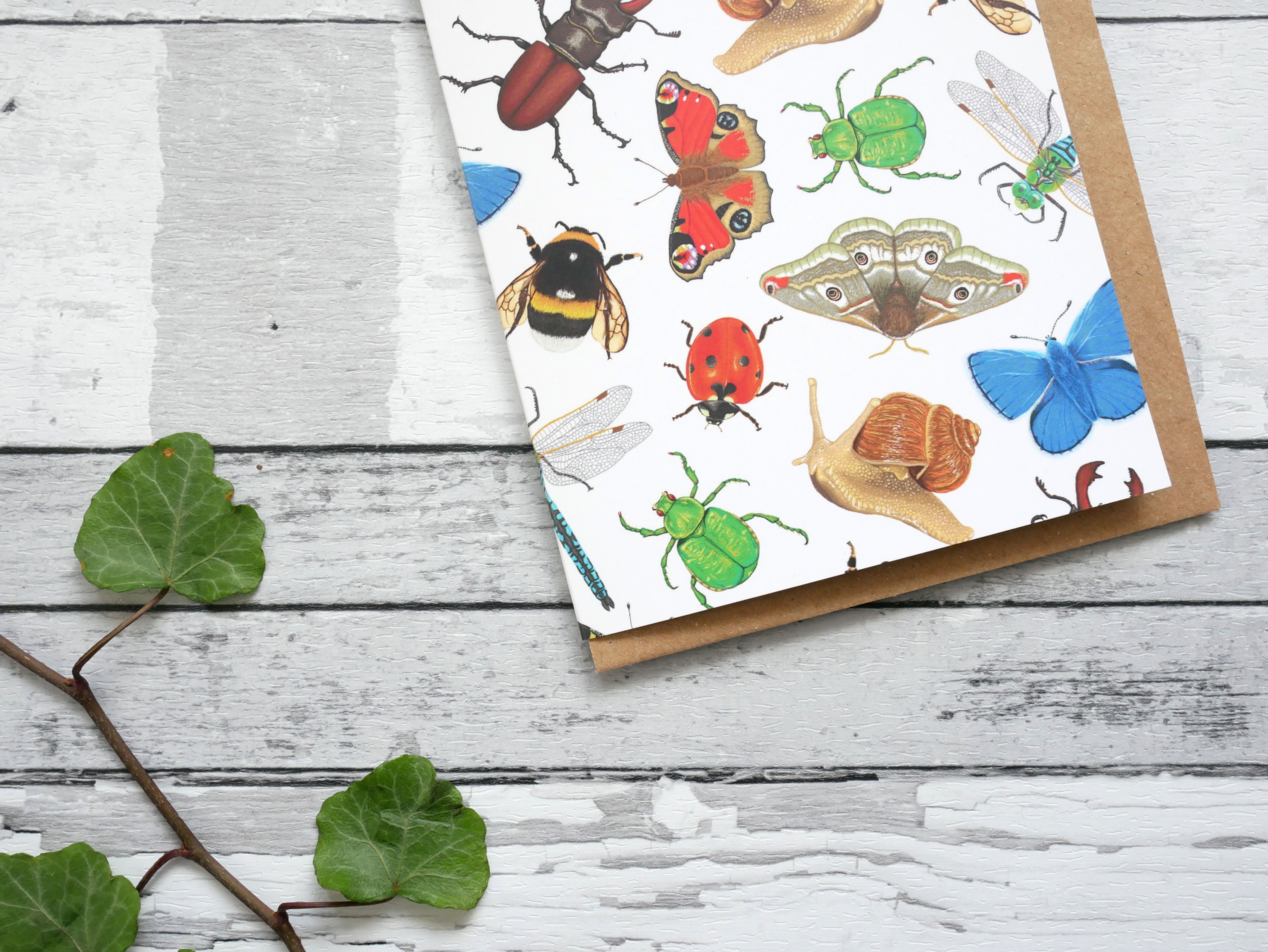 Silverpasta illustrated animal greetings card made from recycled paper featuring british insects with plastic free packaging