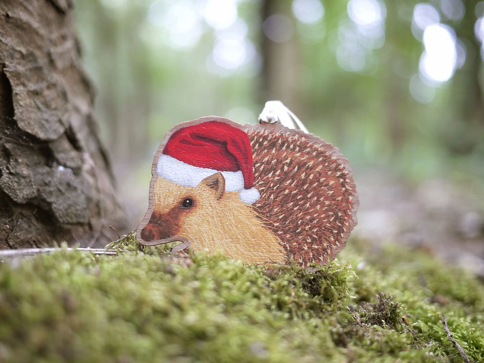 Thumbnail: A wooden Christmas tree decoration of an illustrated hedgehog in a santa hat.