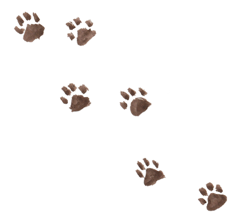 Layer 7.png