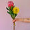Miniatura: Protea High Gold