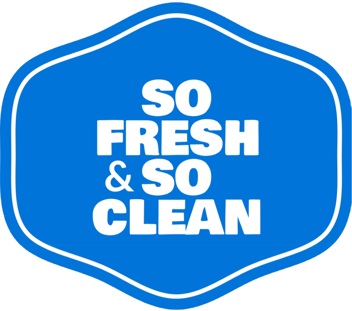 So Fresh & So Clean Window Cleaning logo