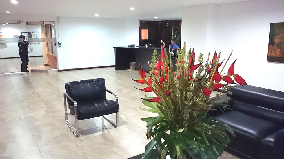 Recepción entrada principal