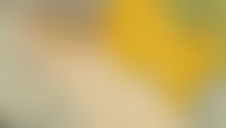 La venta de La Mesilla: el último gran despojo territorial de México