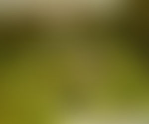 La Mujer del Peñón: el rostro más antiguo del Valle de México