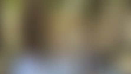 Presentan convocatoria al Premio Estatal de Periodismo “José Vasconcelos 2025”