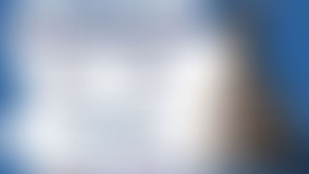 Lanzan Campaña Gratuita de Esterilización para Mascotas en Parral