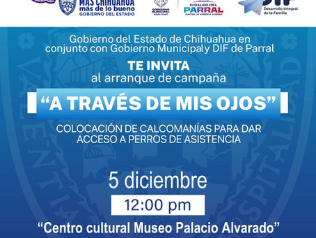 Parral, pionero en promover la inclusión con la campaña “A través de mis ojos”