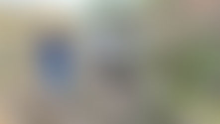 Servicios Públicos realiza labores de limpieza en la Vialidad del Río