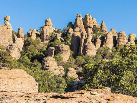Parque Nacional Cumbres de Majalca