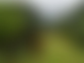 La Ruta de la Manzana en Chihuahua