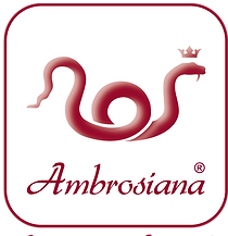 AMBROSIANA-international_logo+claim_SPOT_P.202C_.png