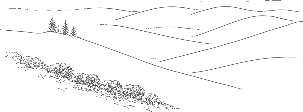 Rolling Hills Graphic Line Drawing