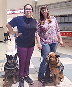 herding service dogs.jpg