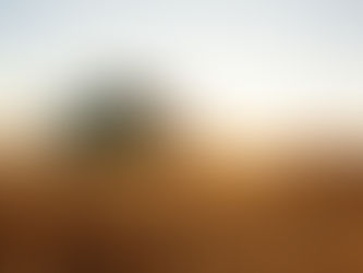 ¿Cuáles son los retos que enfrenta la agricultura mexicana en la actualidad?