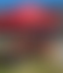 MLAC Successful in Coles Little Athletics Community fund