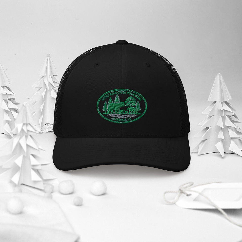 Thumbnail: Retro Trucker Hat