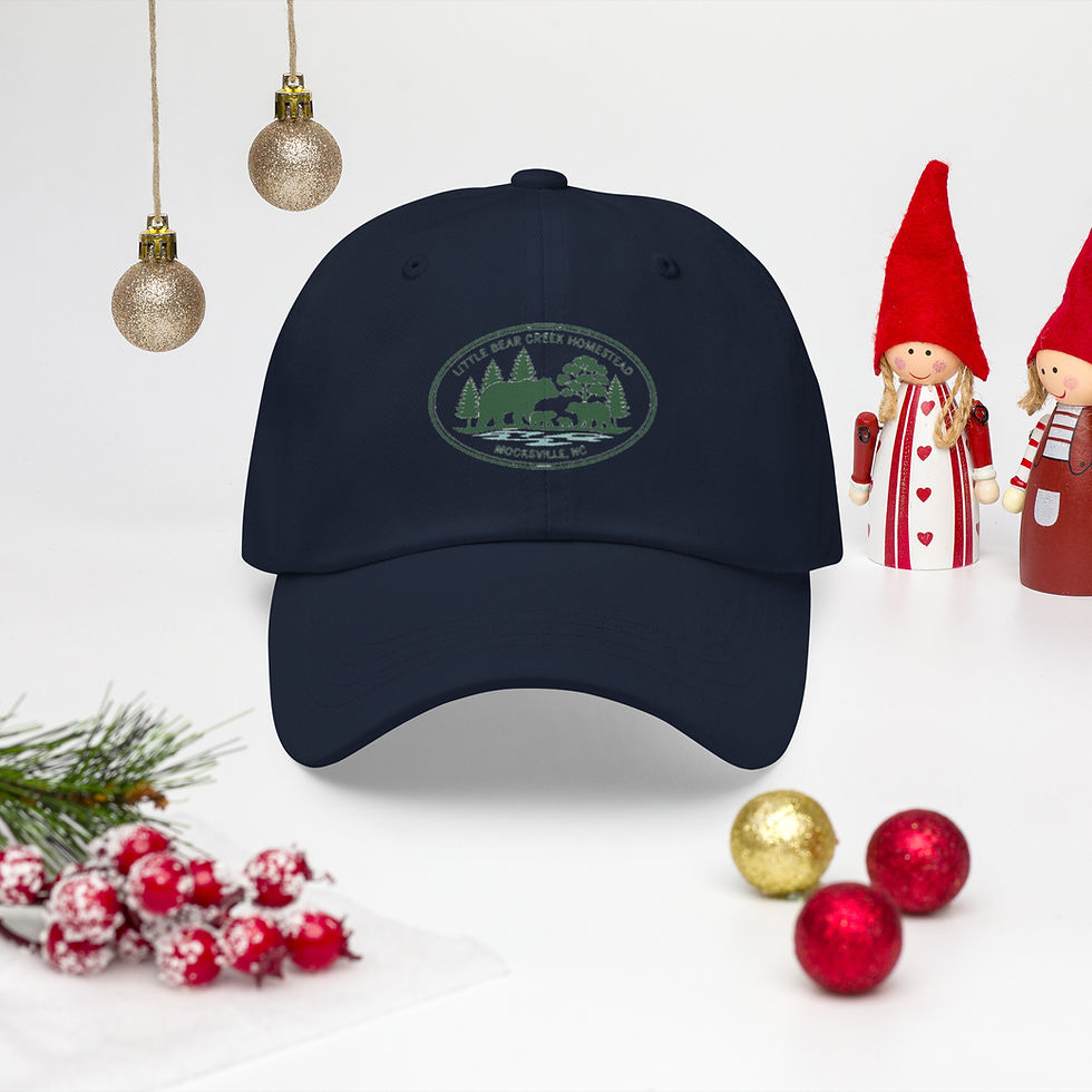 Thumbnail: Classic Cotton Dad Hat