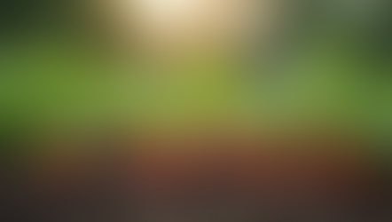 Learning Essential Homestead Skills: Embracing a Life of Faith and Simplicity