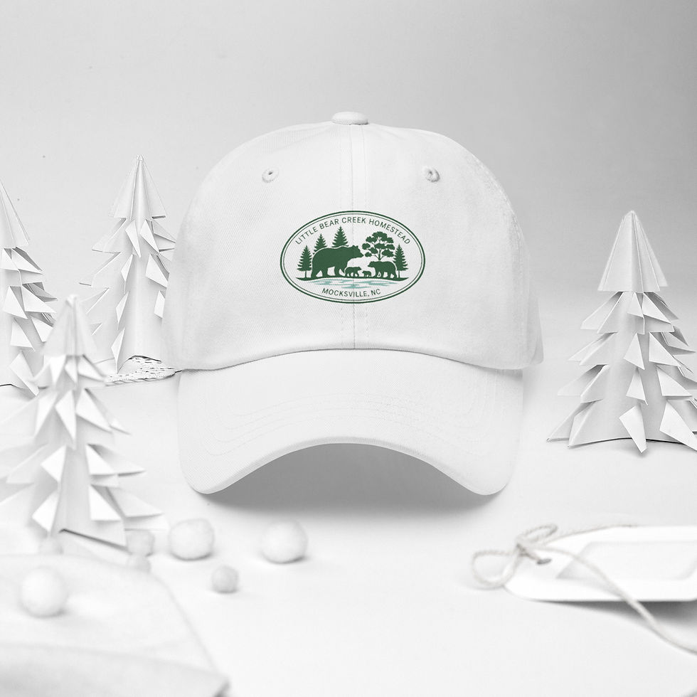 Thumbnail: Classic Cotton Dad Hat