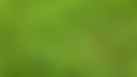 Cover Crops 101 No Naked Dirt Here and Their Critical Role in Sustainable Farming