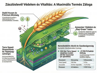 A zászlósleveles kezelés kulcsfontosságú a termésképzésben. Az Azoxystar + Terra Speed kombináció védi a lombot, javítja a stressztűrést és támogatja a minőséget.