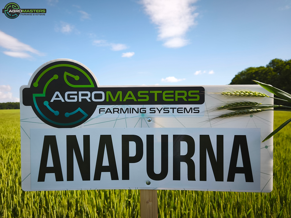 Indexkép: ANAPURNA (Biosild Extra 2l/t; Indigo 30 WD 0,7 l/t)