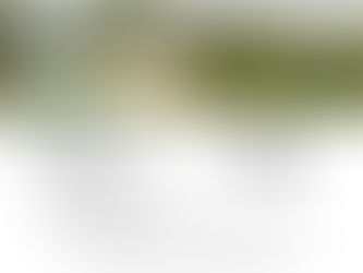 Legújabb növényaktivátorok - a PHORTIS termékcsalád - mely ötvözi a lombtrágyák és növénykondícionálók jótékony hatásait. Drónos kijuttatásra optimalizált formulája kis dózisban is rendkívül hatékony, tank-mix kompatibilis és gyorsan oldódik. A termék célzottan támogatja a vegetatív növekedést, a gyökér- és hajtásfejlődést, valamint mérsékli az abiotikus stresszhatásokat (hideg, hőség, vízhiány), így biztosítja a termésképződés alapját.