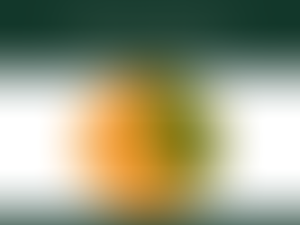 AZ ŐSZI KÁPOSZTAREPCE 2025-ÖS ÁLLAPOTA