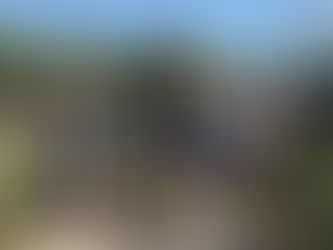 Thank You to Tampa’s Boy Scout Troop 46 Volunteers!