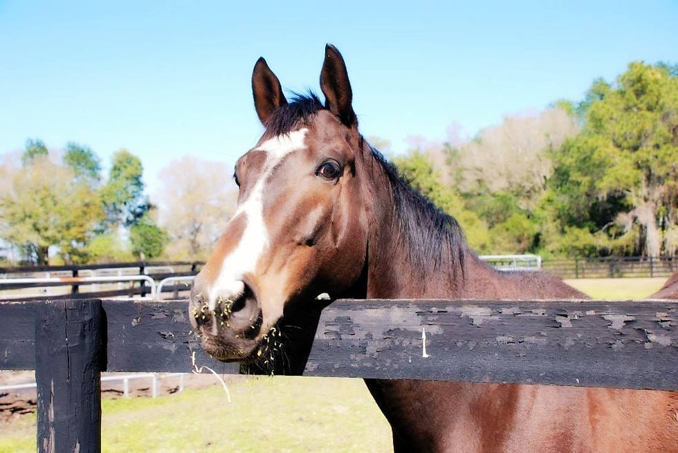 Remembering Johnny... our Special Song