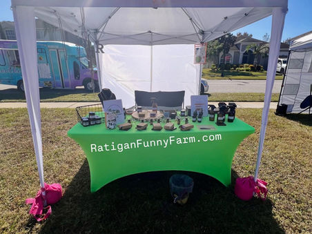 Holiday Craft Event in Tierra Del Sol